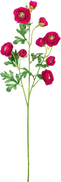 30in Wine Ranunculus Spray
