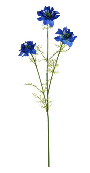 27in Cosmos Spray x3 BLUE