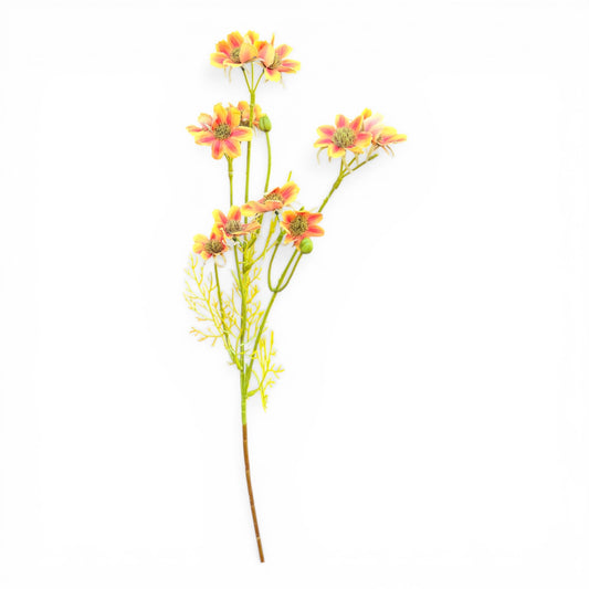 25in Orange/Yellow Cosmos Blooms