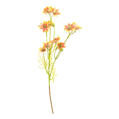 25in Orange/Yellow Cosmos Blooms blx1