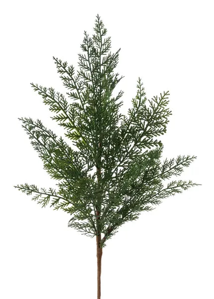 32in Arborvitae Spray TT GREEN
