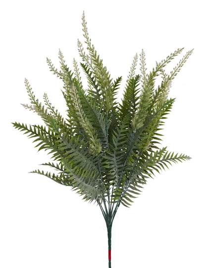 23in Multi Fern x18 Dusted TT Green