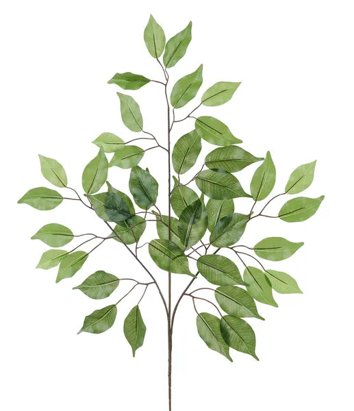23in Multi Green Ficus Spray