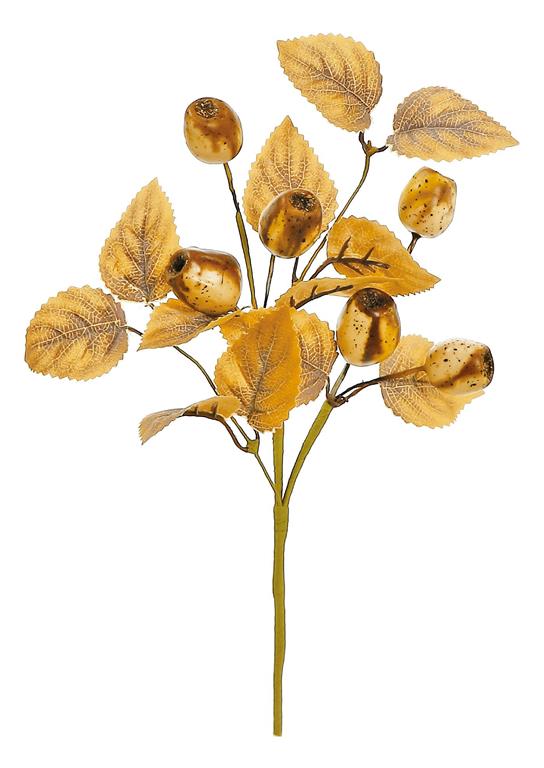 12in Euc Pod & Foliage BR/BE
