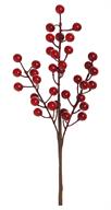 SET of 6 - 11in RED Berry Pick