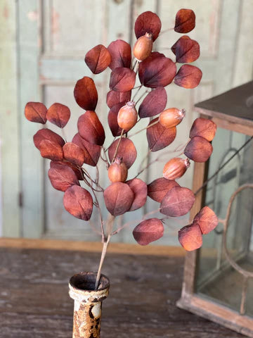 30in Foxfire Eucalyptus