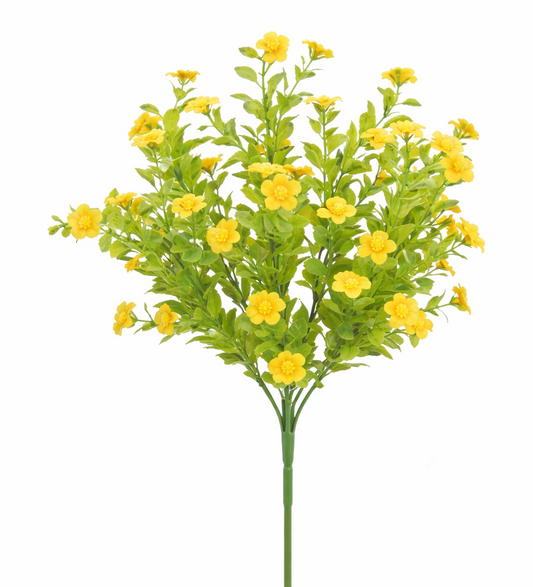 Yellow Blossom Bush