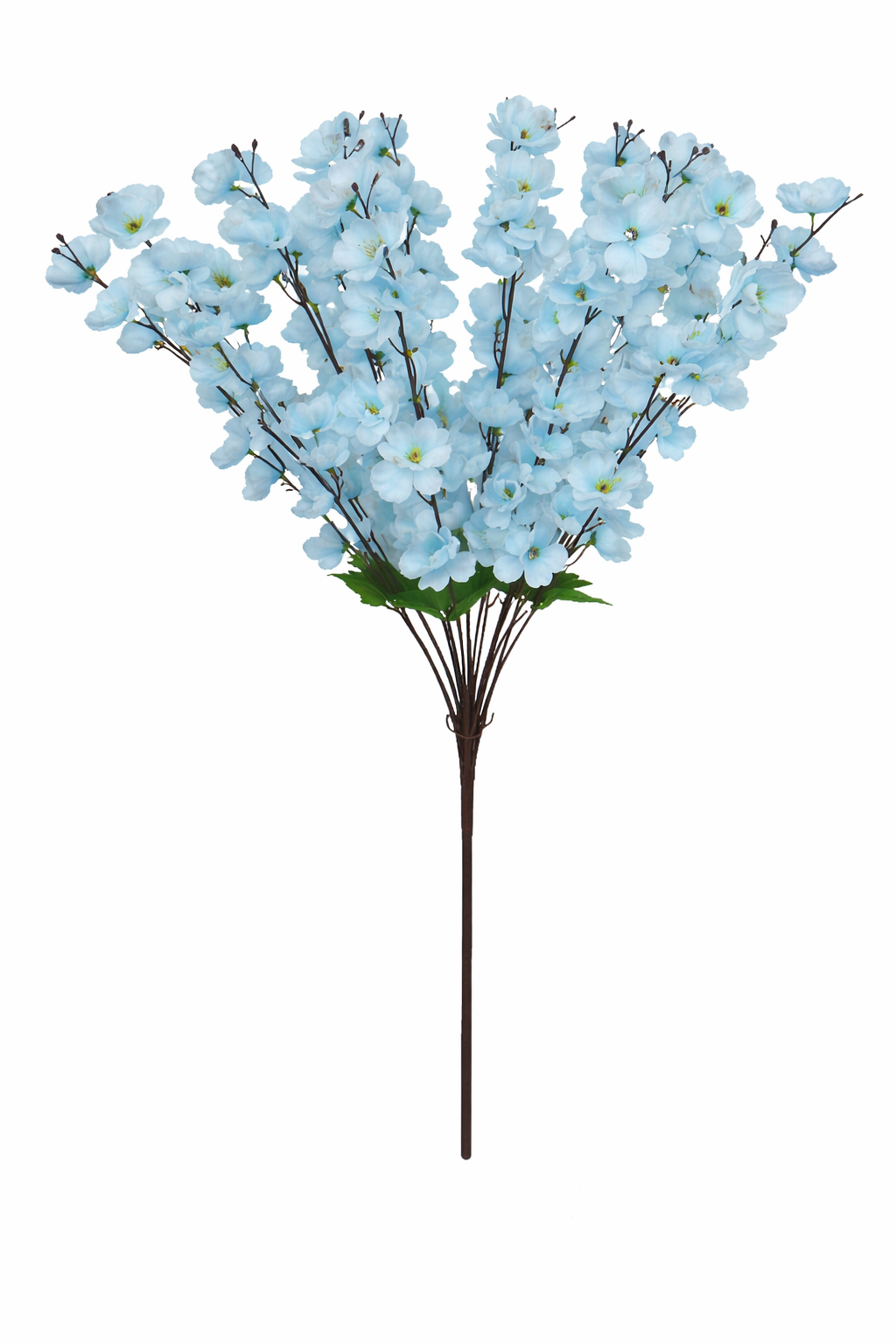 25in Blue Blossom Bush x18