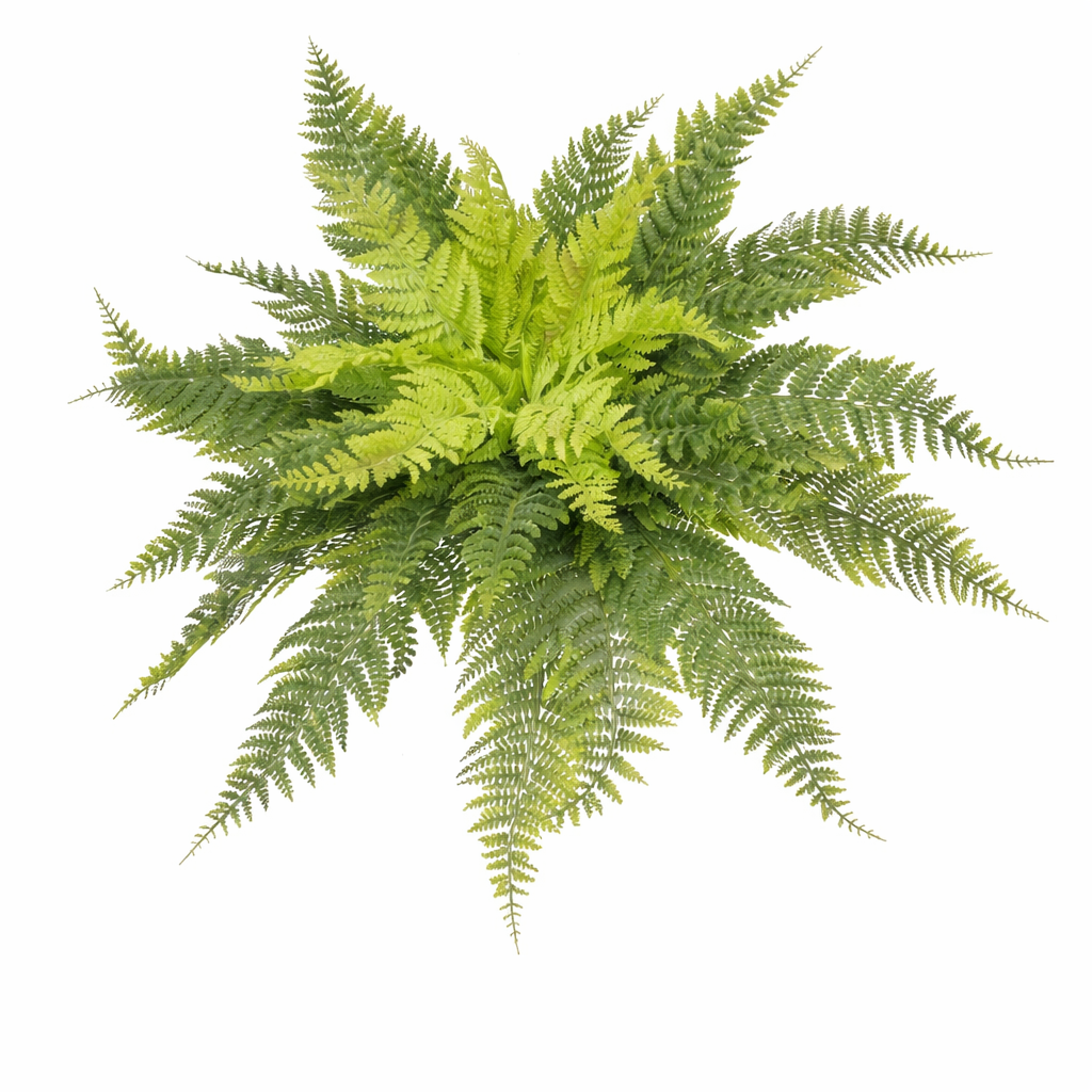 16in TT Green Ruffle Fern Bush