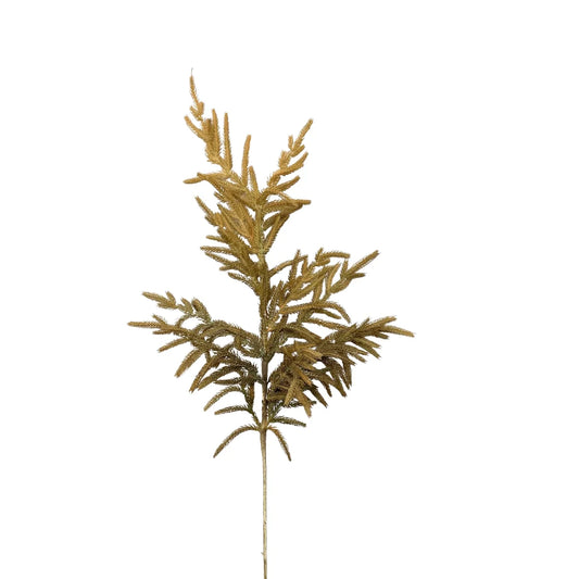 38in Beige Dried Norfolk Branch - Premium Greenery for Wreaths and Home Decor