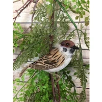 4.5in Barn Sparrow Bird