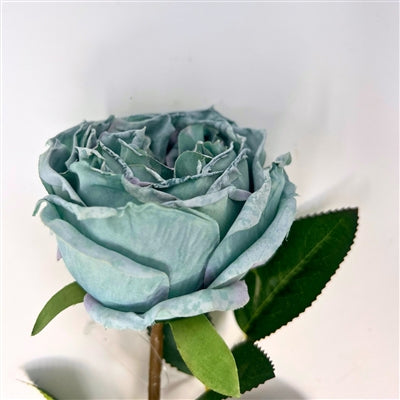 24in Soft Aqua Windsor Rose