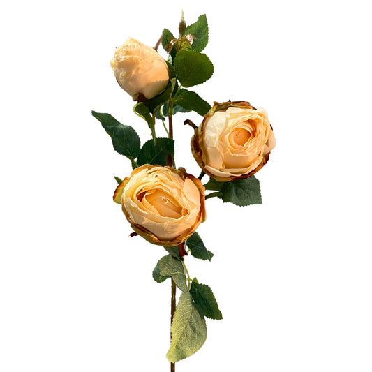 25in Garden Rose x3 CHAMPAGNE