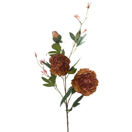 35in Wild Peony RUST