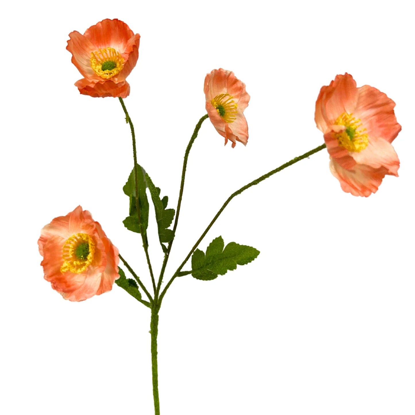23in Peach Poppy
