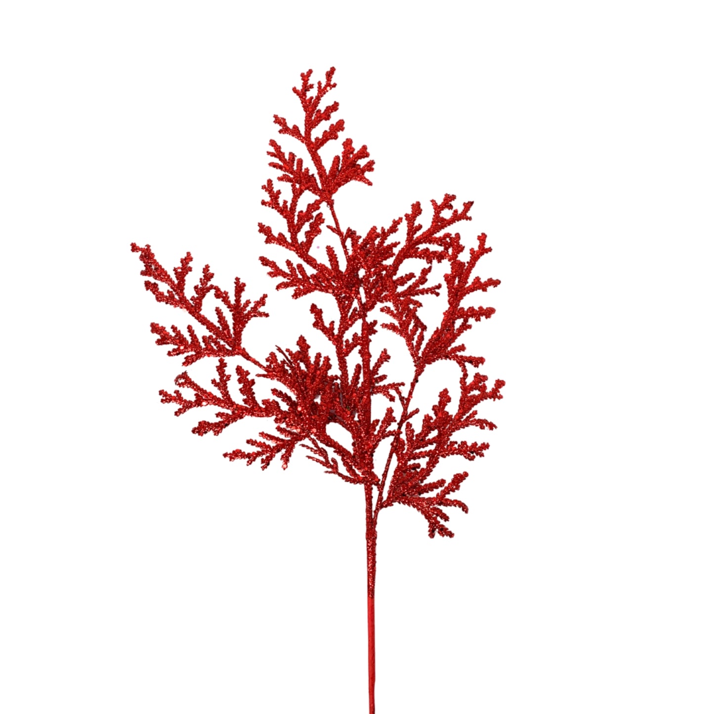 28in Lycopodium RED