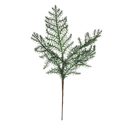 21in Fresh Touch Sprengeri Fern