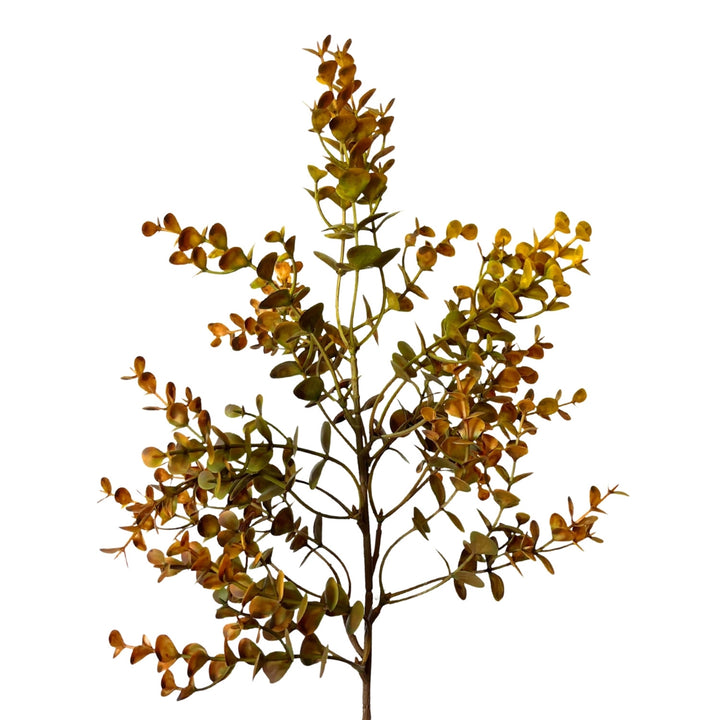 21in Autumn Golden Boxwood