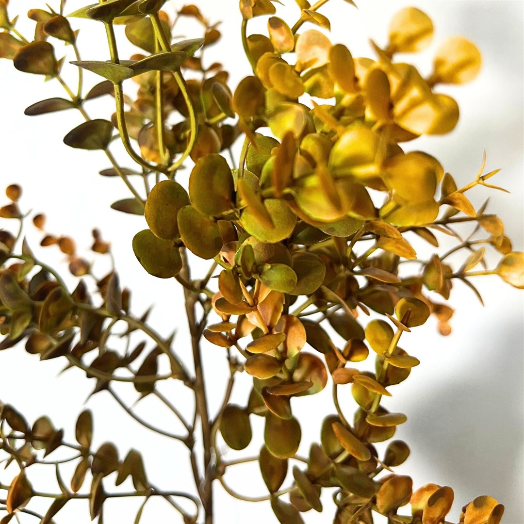 21in Autumn Golden Boxwood