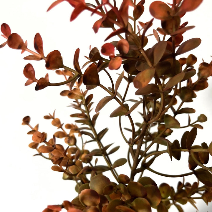 21in Autumn Orange/Red Boxwood - Premium Greenery for Wreaths and Home Decor
