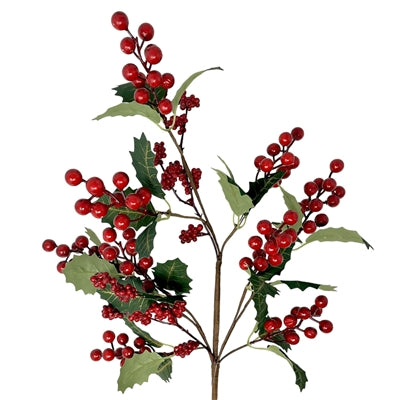 Dona's Holly David Christopher