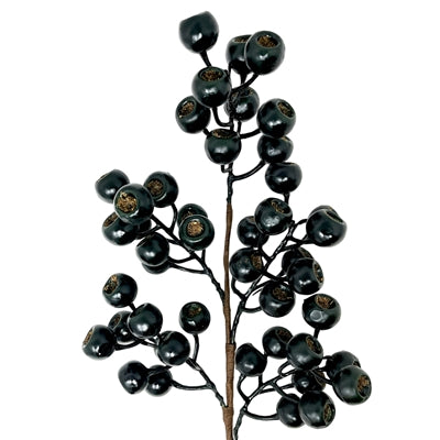 24in Dk Green Grand Pod Berry- Premium Greenery for Wreaths, Arrangements and Home Decor David Christopher