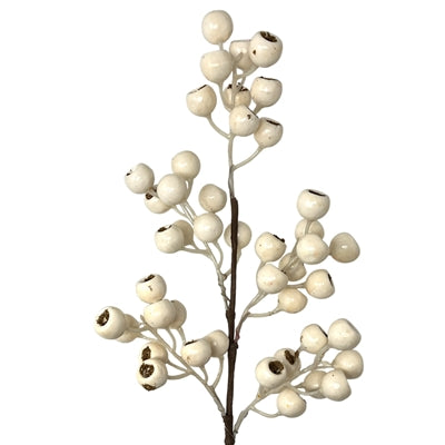 24in Ivory Grand Pod Berry- Premium Greenery for Wreaths, Arrangements and Home Decor David Christopher