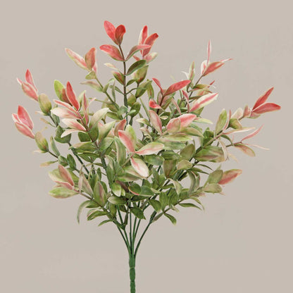 14in Scarlet-Leaf Ruscus GN/SCARLET