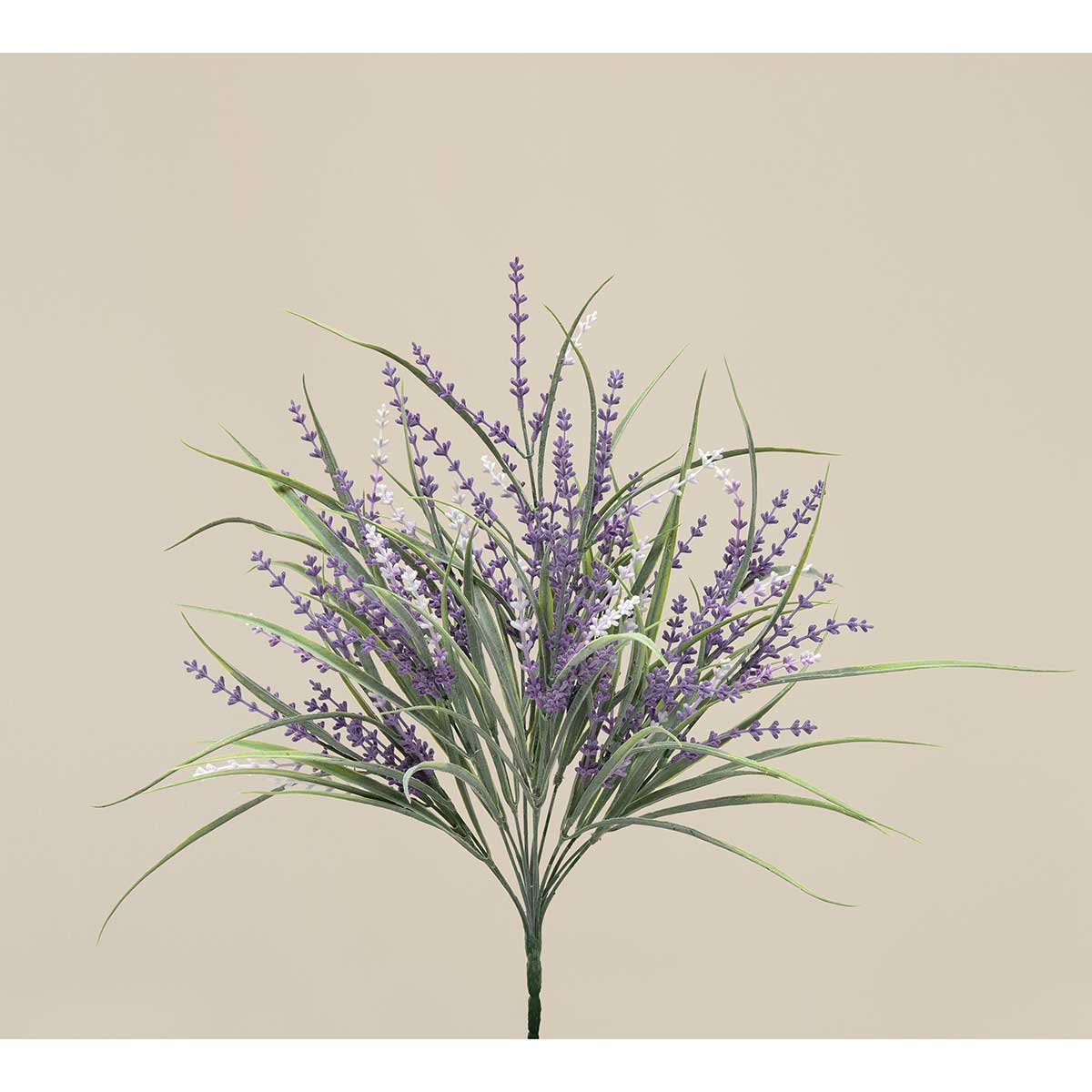 19in Lavender & Spike Grass PURPLE Brian's Favorite!