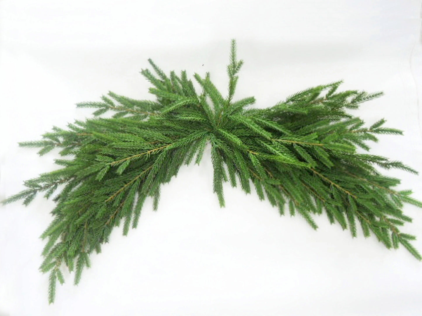 32in Double-End Norfolk Pine Swag - Premium Base for Floral Designs and Home Decor Essentials