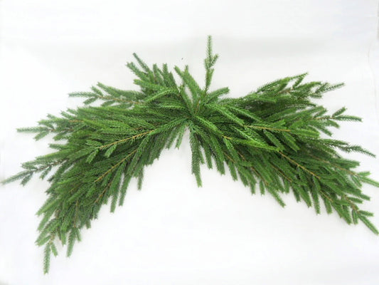 32in Double-End Norfolk Pine Swag - Premium Base for Floral Designs and Home Decor Essentials