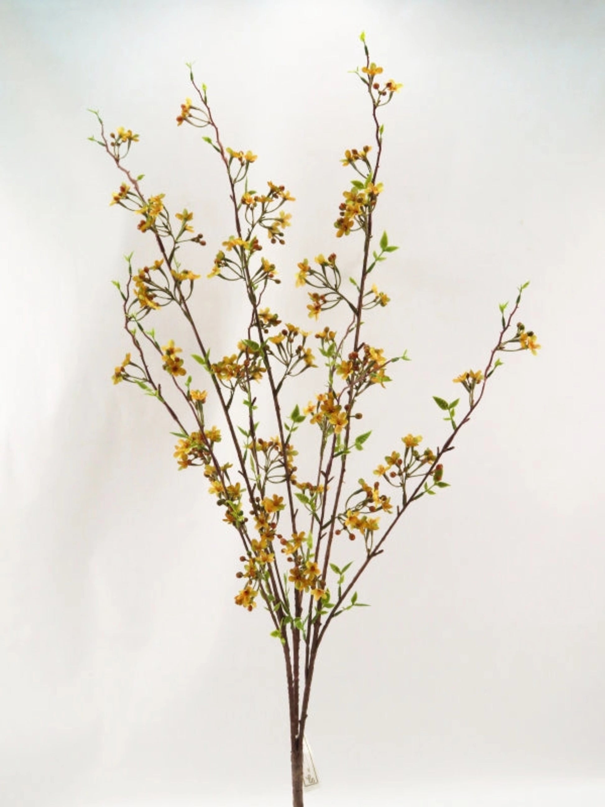 36in Waxflower LT BROWN Essentials