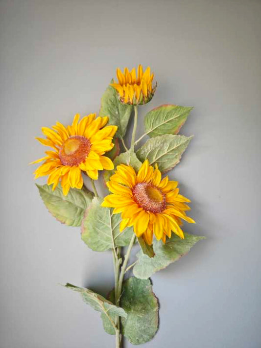 37in Sunflower x3 YELLOW