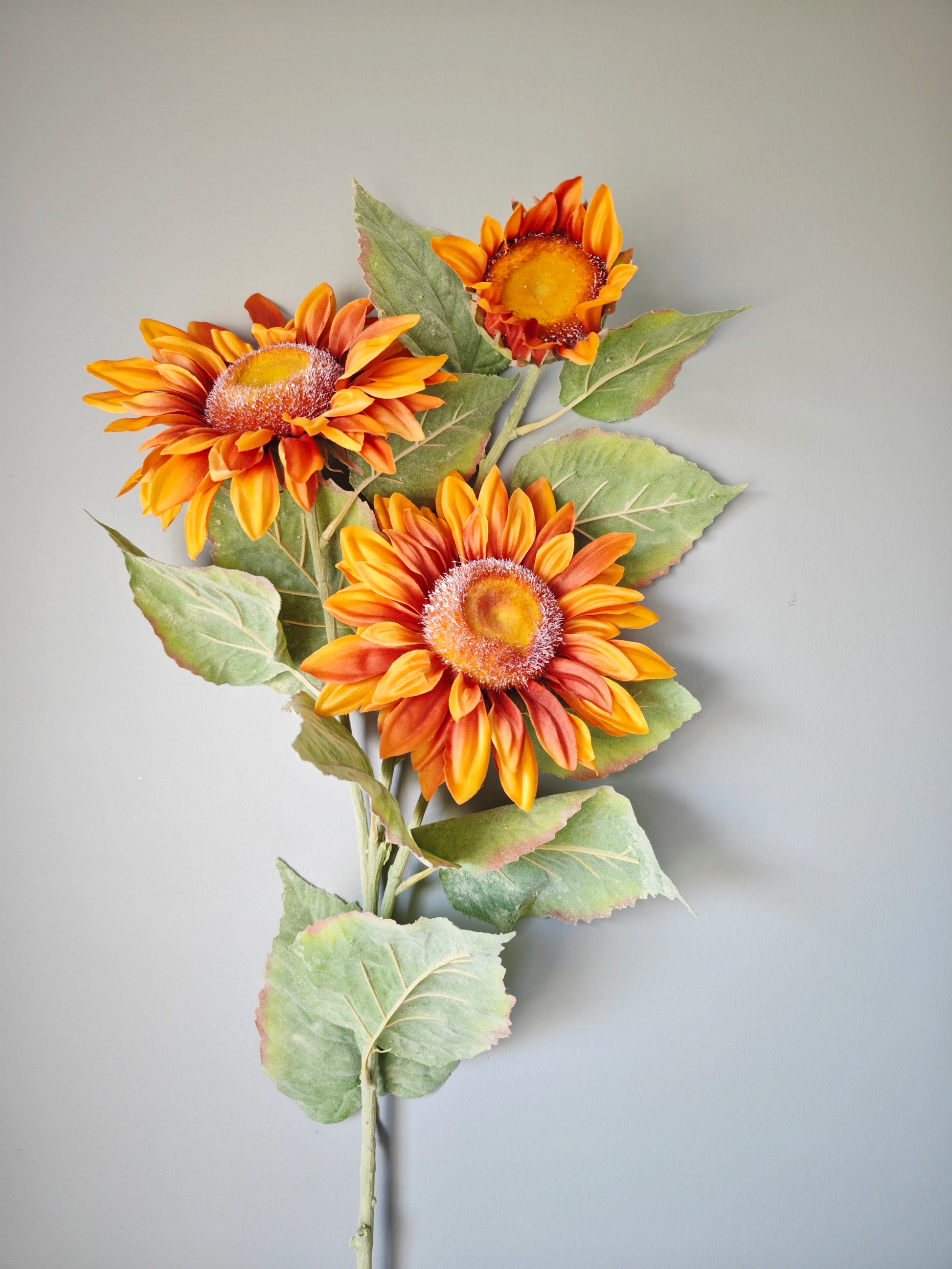 37in Sunflower x3 ORANGE Essentials