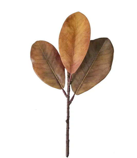 13in Mix Brown Magnolia Leaves x3 - Premium Florals for Wreaths, Arrangements and Home Decor Essentials