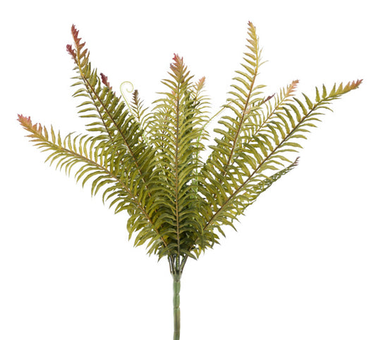 20in Boston Fern x18 SAGE/RUST