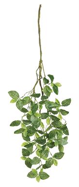 37in Fittonia Spray GREEN/CREAM