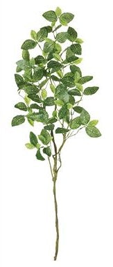 37in Fittonia Spray GREEN/CREAM