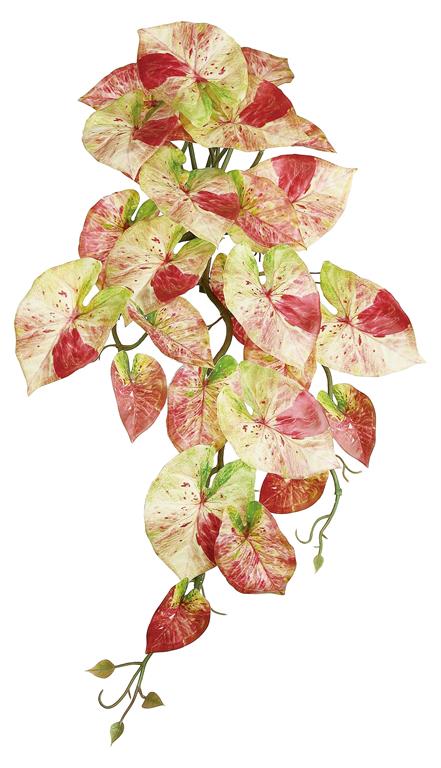 21in Hanging Caladium Bush PINK/RED