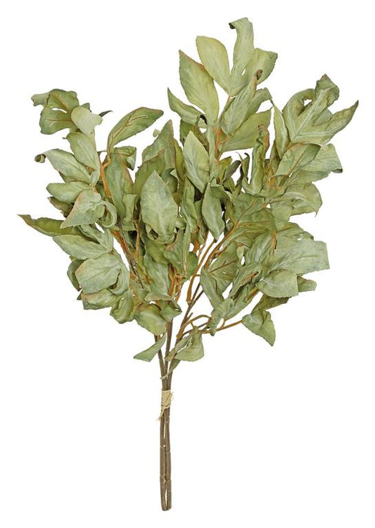 26in Sage Green Dried Leaf Bundle