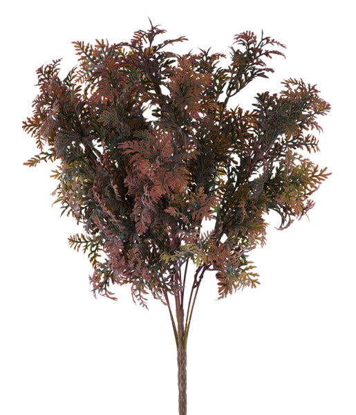 23in Lace Fern Bush x10 SMOKEY BURGUNDY Craig Bachman