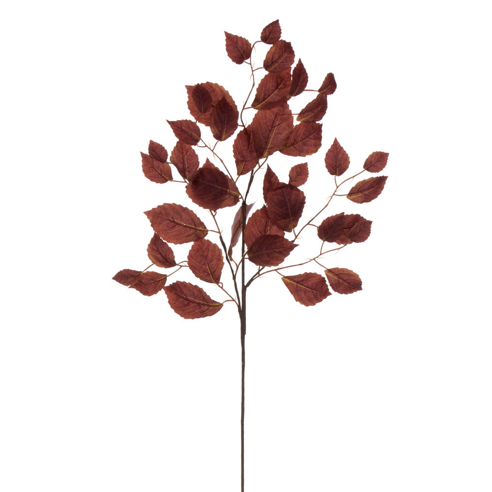 32in Dark Brown Beech Leaf Spray