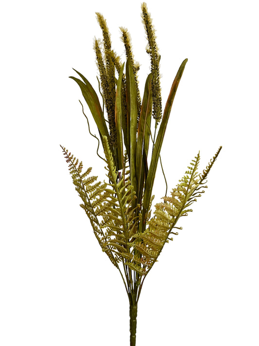 Large Fall Fern Grass Seed ORANGE SEED