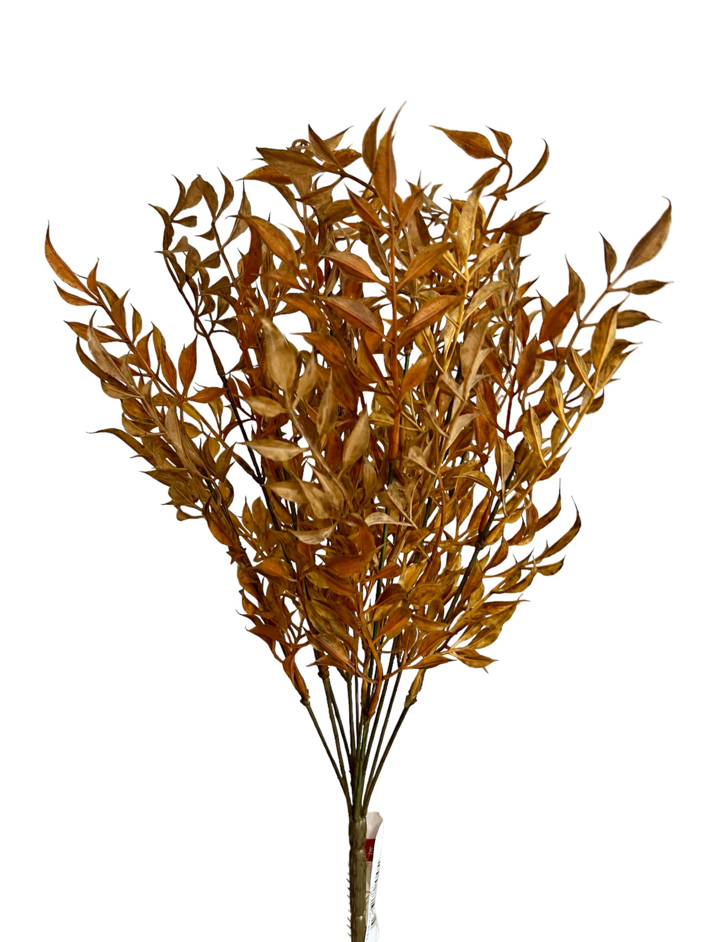 21in Fall Ruscus x12 CINNAMON Allstate
