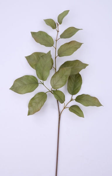 29in Salal Leaf TT GREEN