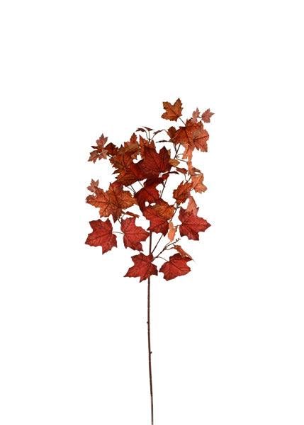 36in Fabric Maple Leaf Spray x5 Craig Bachman
