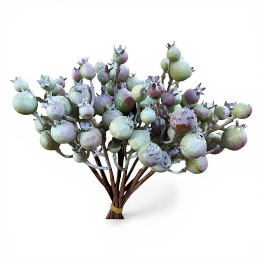 10pc Green/Mauve Crabapple Bundle