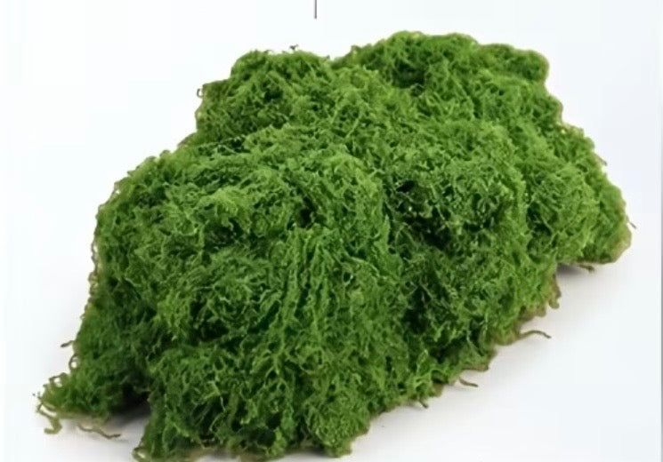 2oz bag of Artificial String Moss Brian Lane Designs