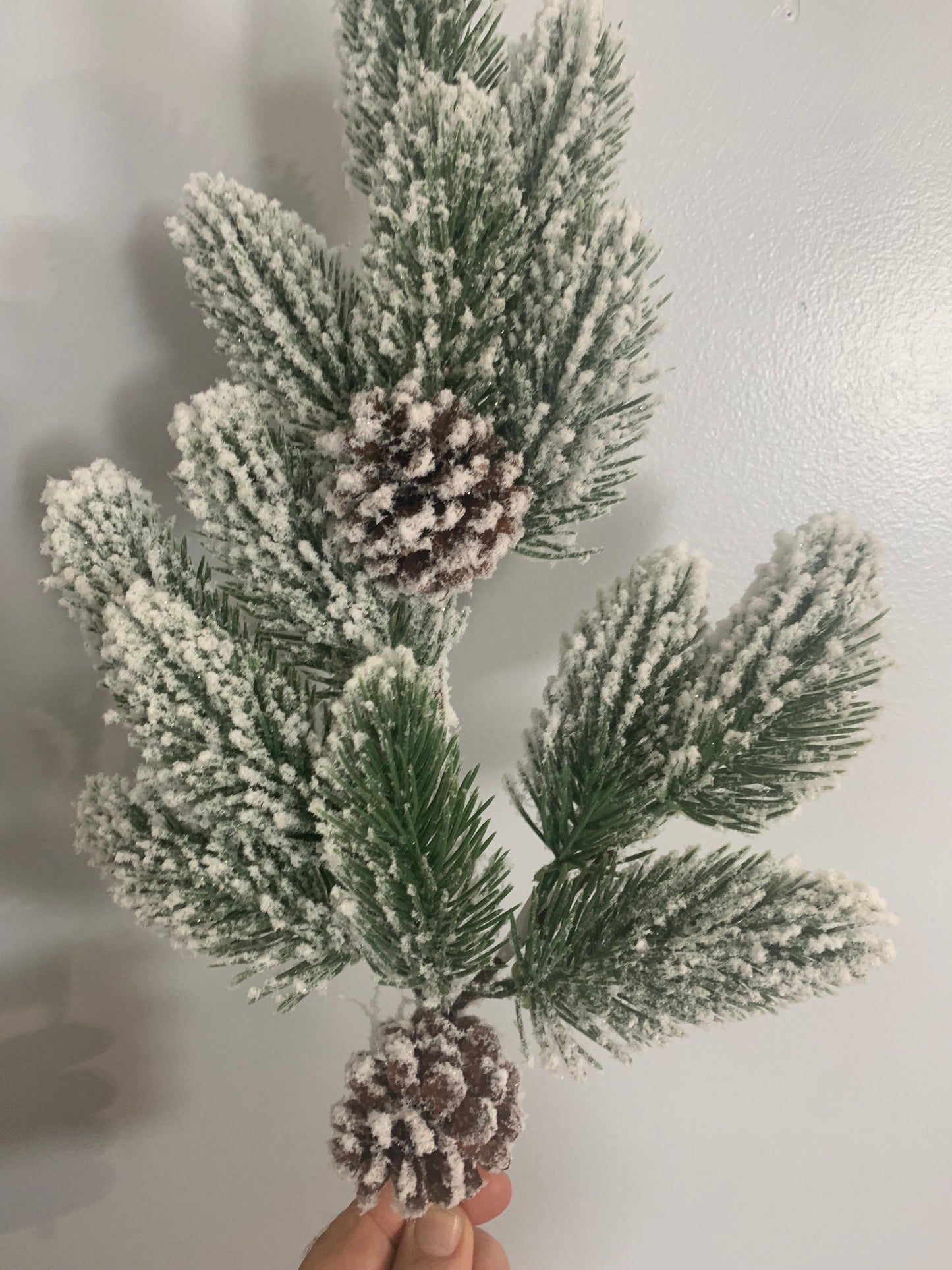 20in Flocked Foxtail Pine w/Cone