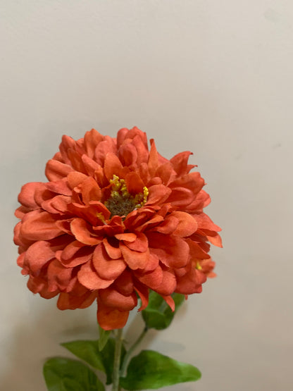 Zinnia Bloom ORANGE